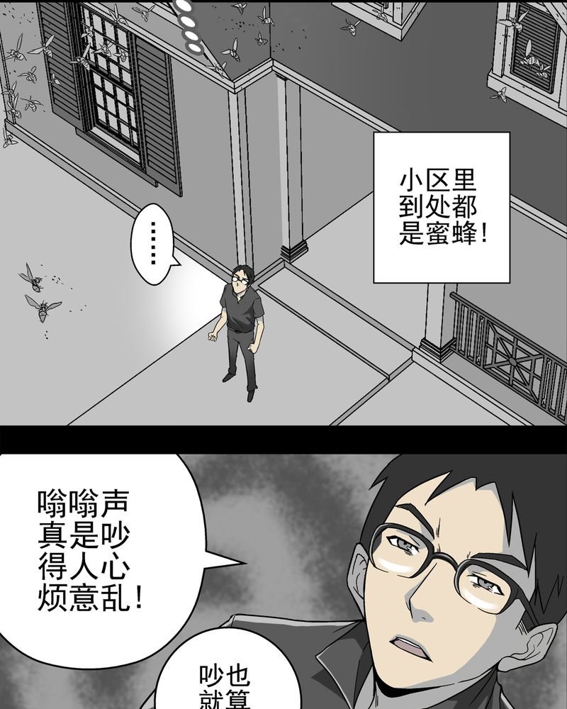 第3章：蜂女上