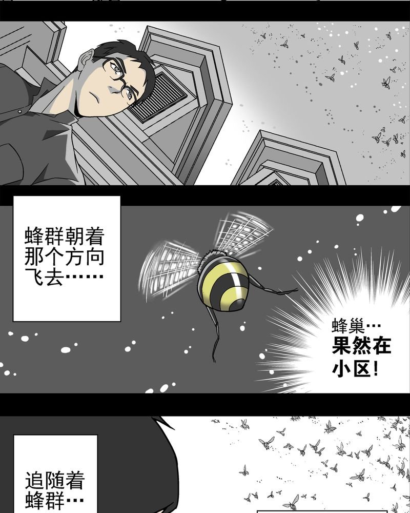 第3章：蜂女上