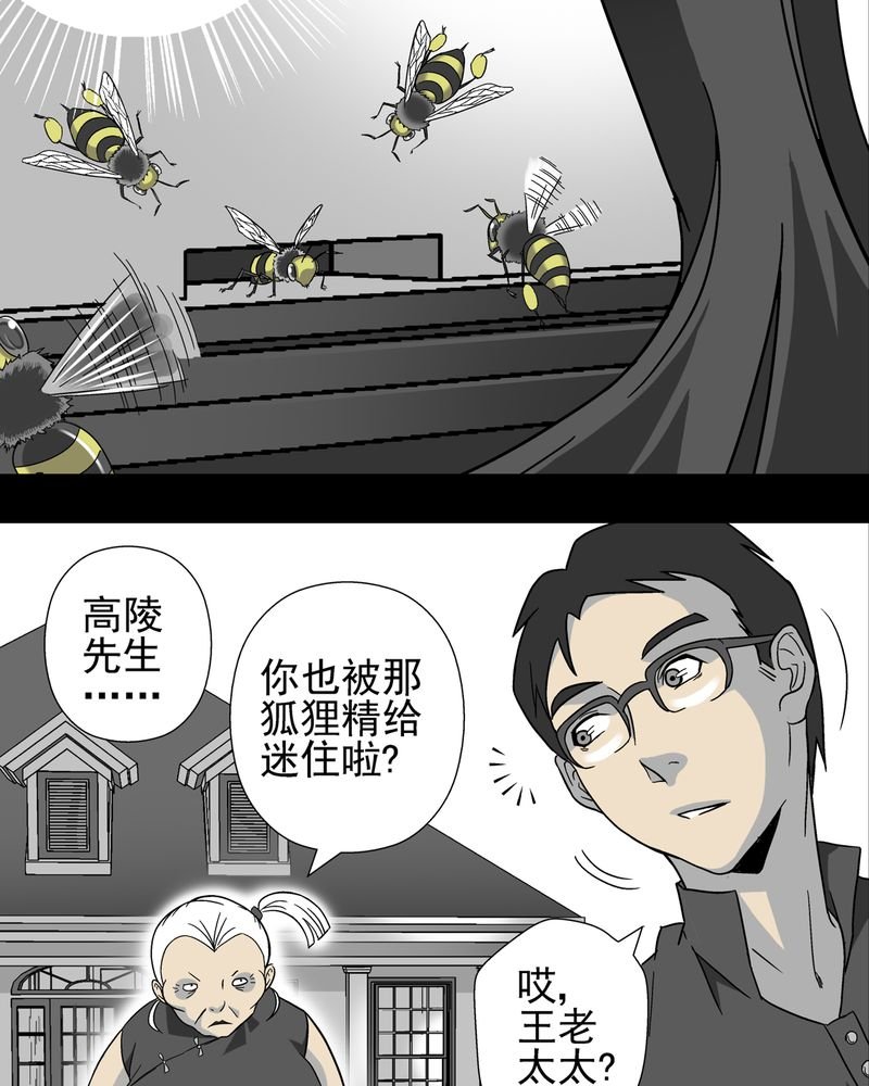 第3章：蜂女上