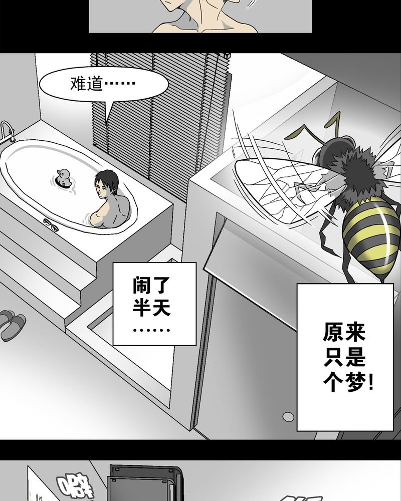 第3章：蜂女上