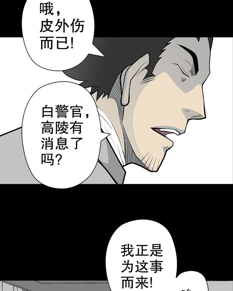 第31章：反常