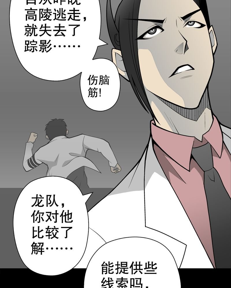 第31章：反常