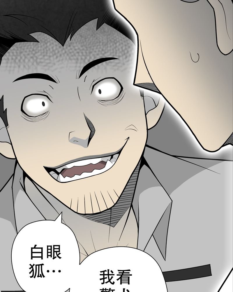 第31章：反常