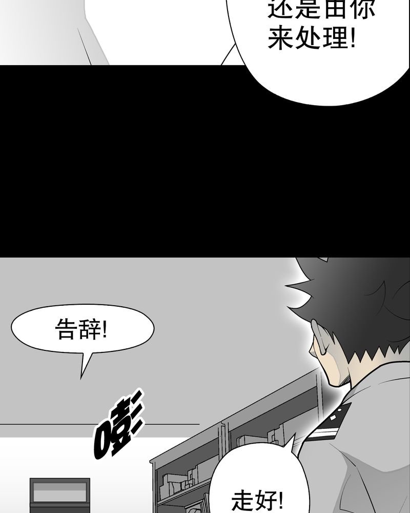 第31章：反常