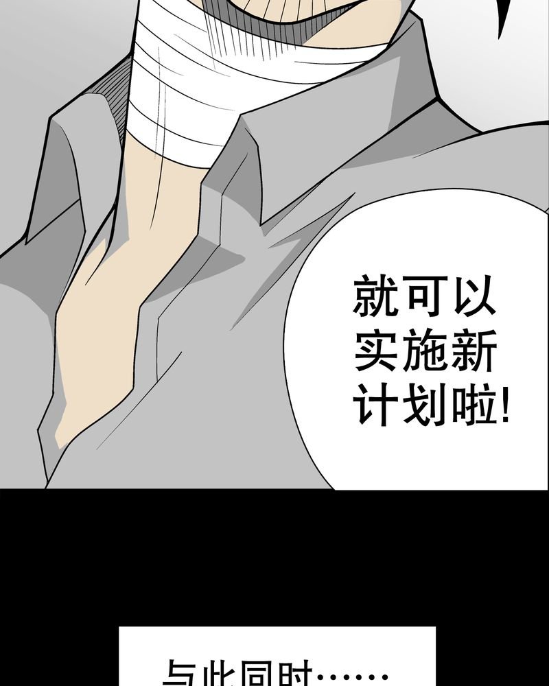 第31章：反常