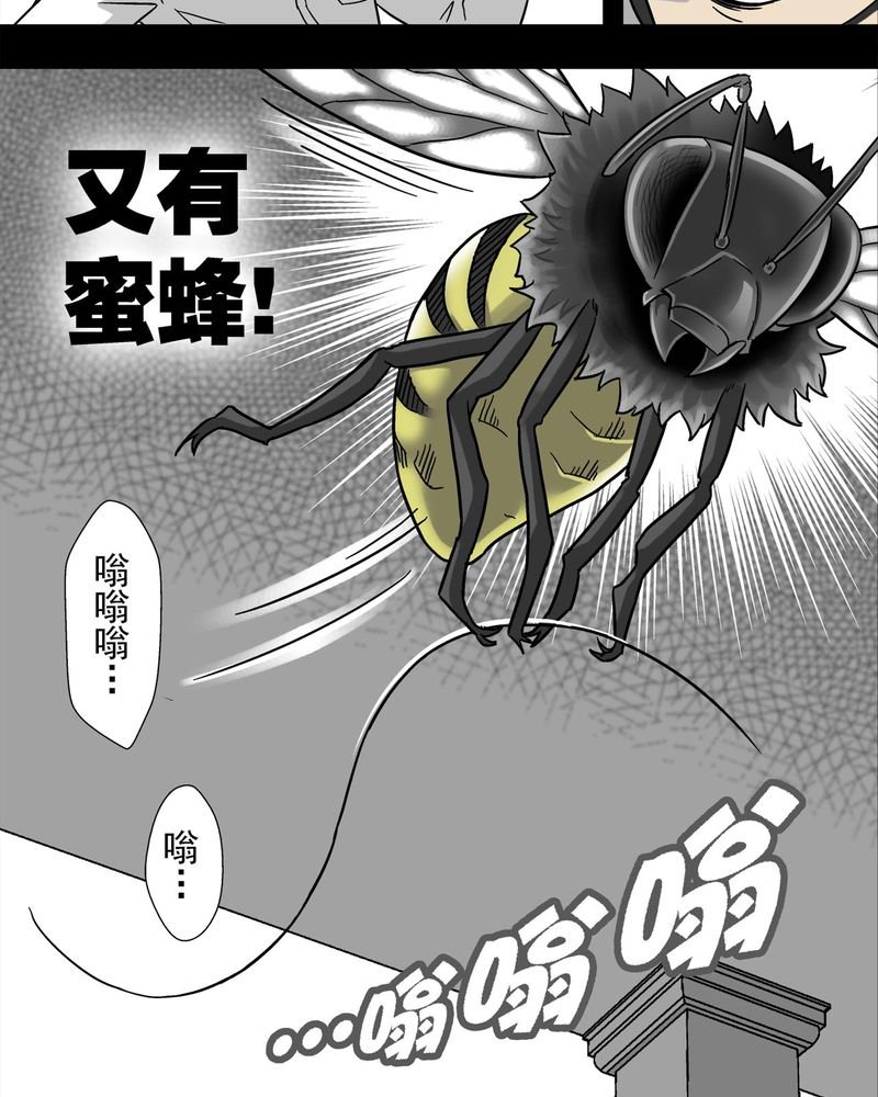 第4章：蜂女中