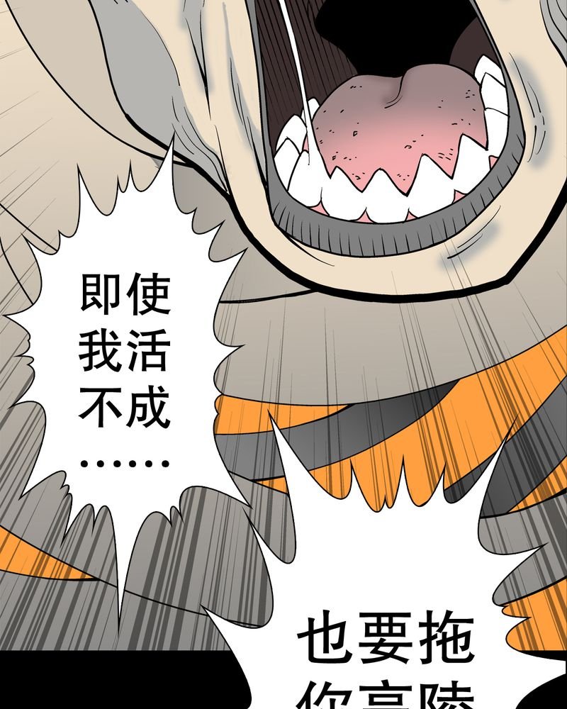 第43章：龙克峰归来