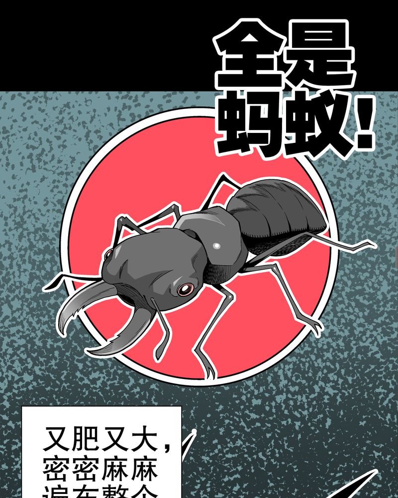 第48章：初识之地