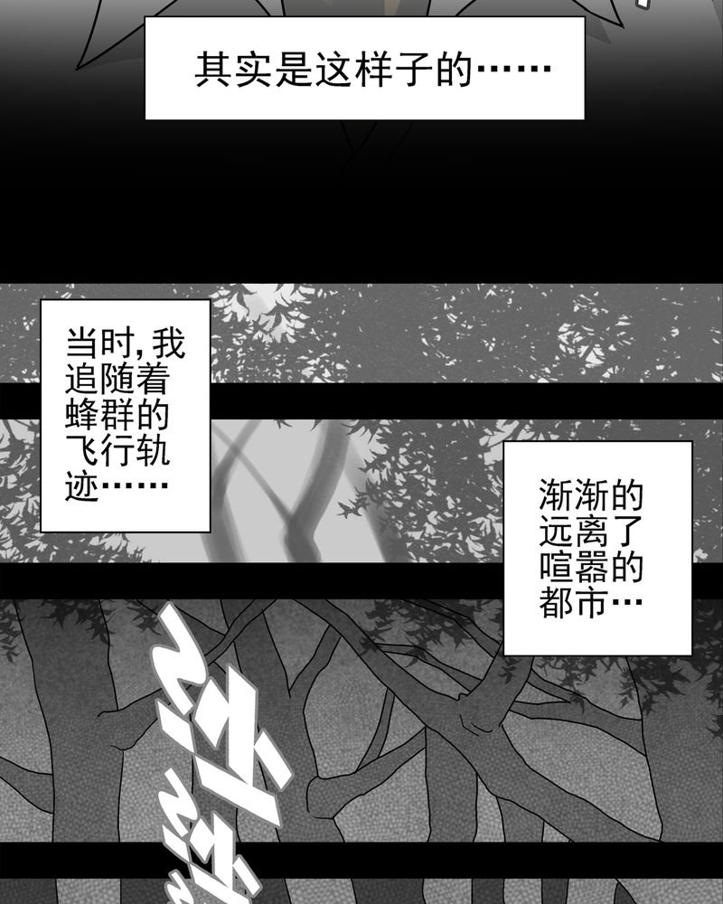 第5章：蜂女下