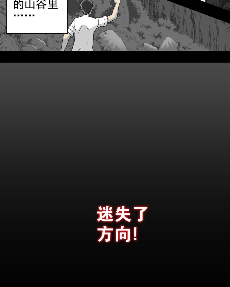 第5章：蜂女下