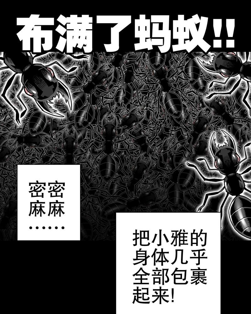 第52章：蜕变