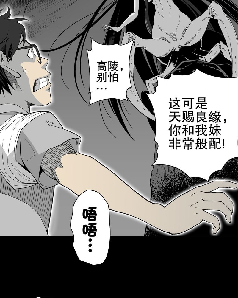 第54章：龙可峰的壮举