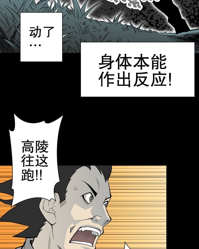 第54章：龙可峰的壮举