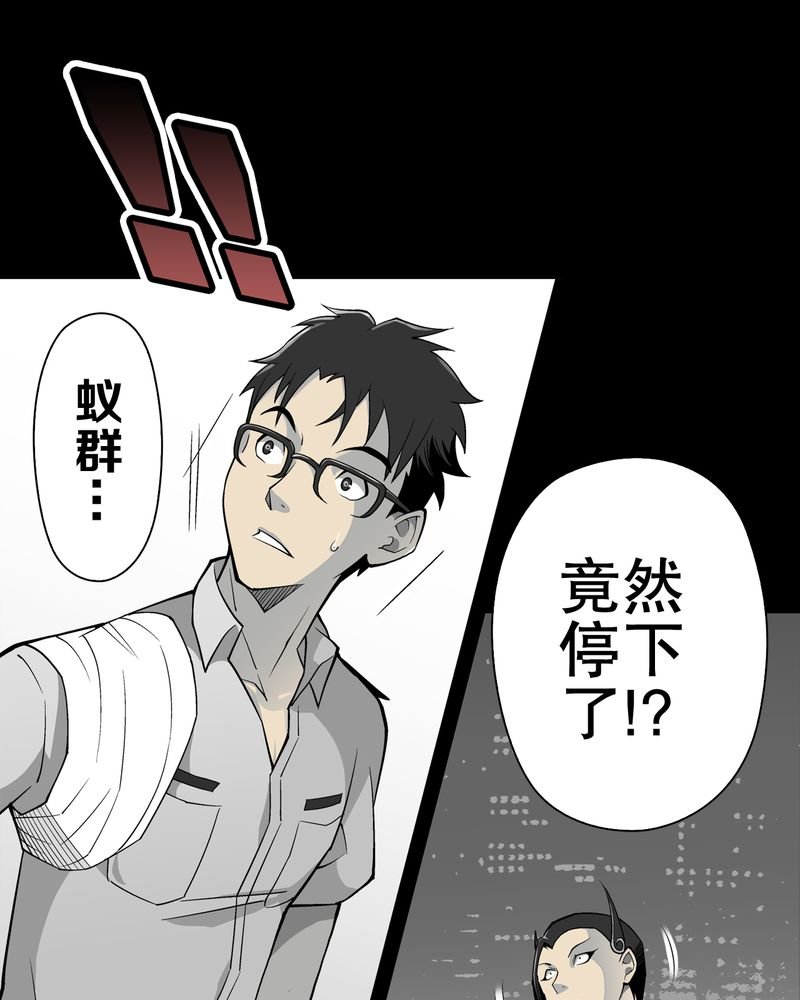 第54章：龙可峰的壮举
