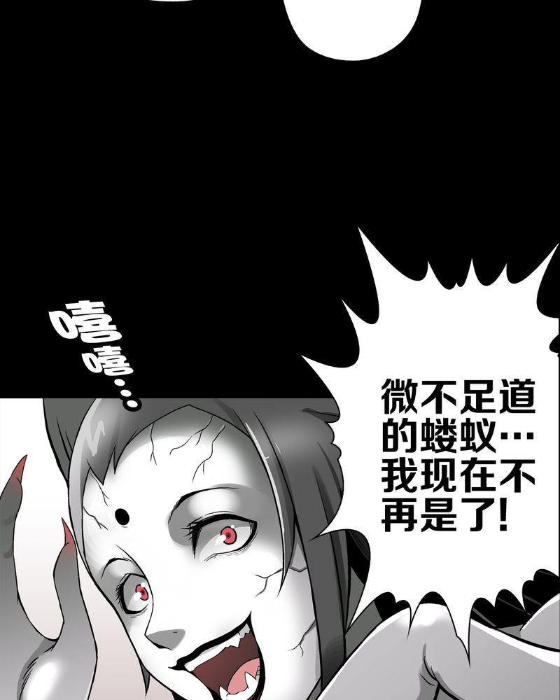 第54章：龙可峰的壮举