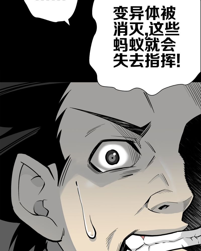 第54章：龙可峰的壮举