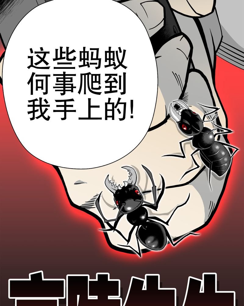 第55章：援军