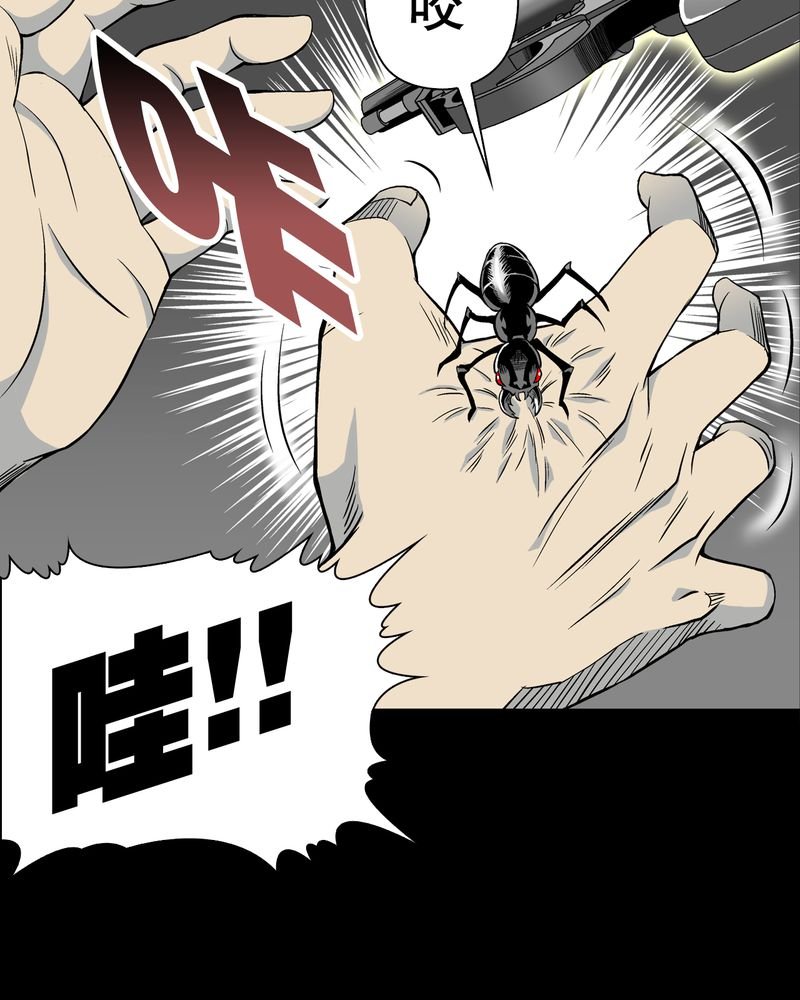 第55章：援军