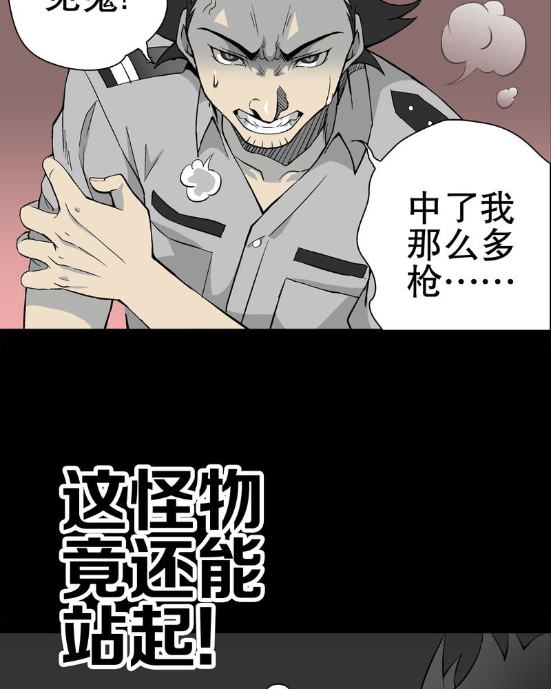 第55章：援军