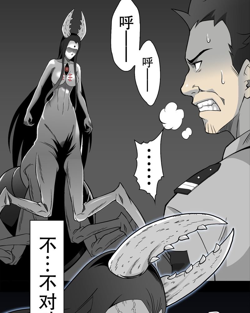 第55章：援军
