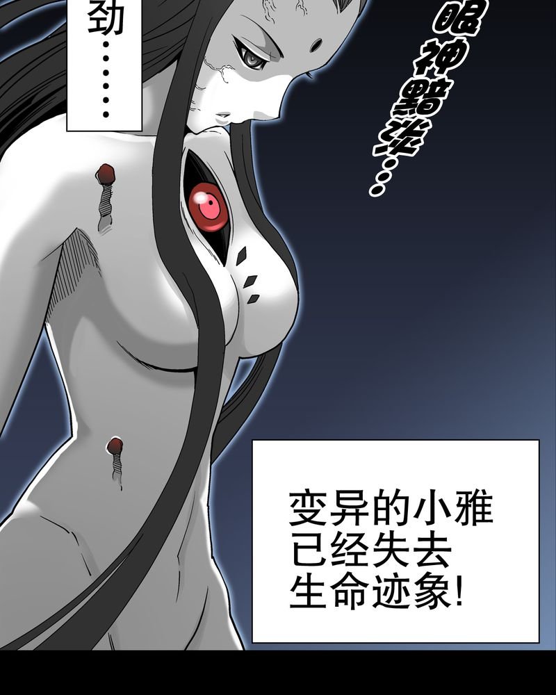 第55章：援军