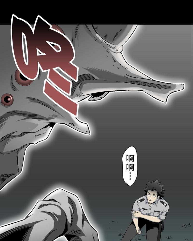 第55章：援军