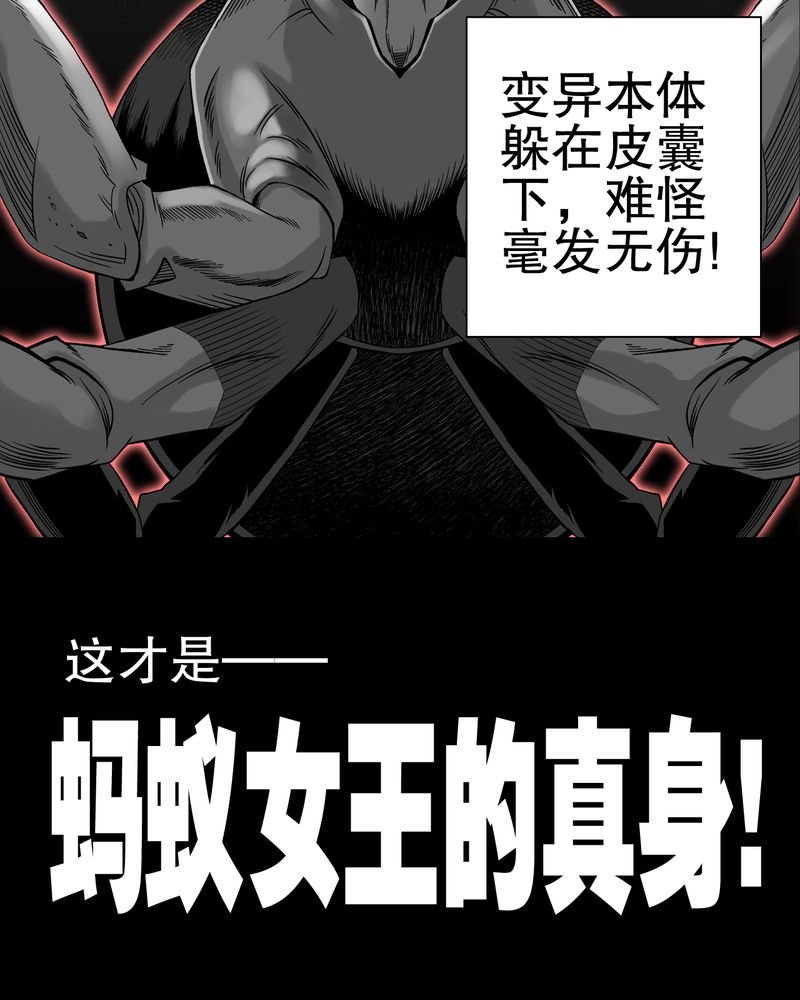 第55章：援军