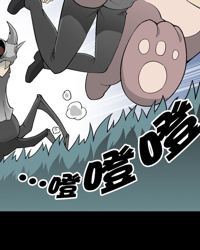 第55章：援军