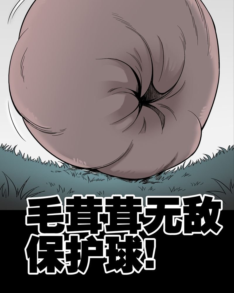 第55章：援军