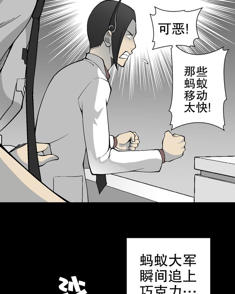 第55章：援军