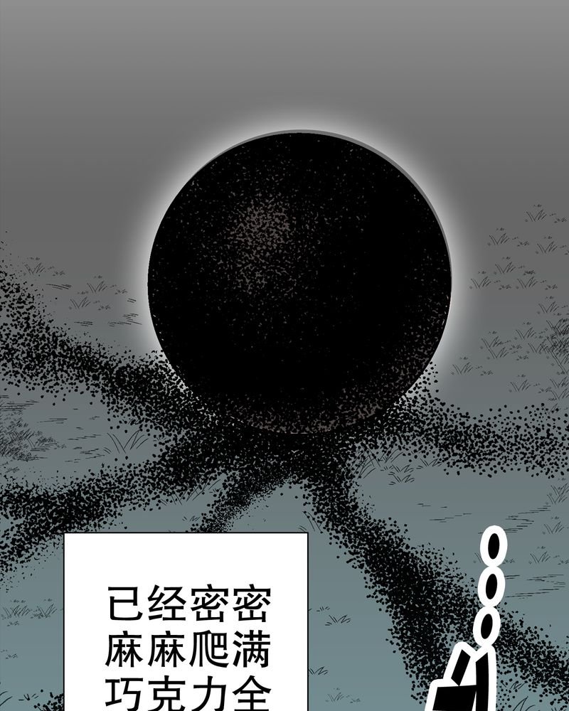 第55章：援军