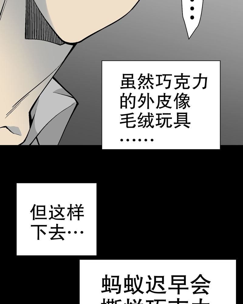 第55章：援军