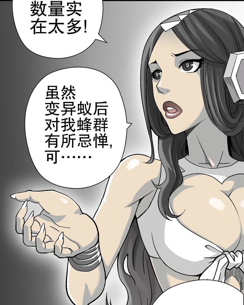 第56章：给力的点点