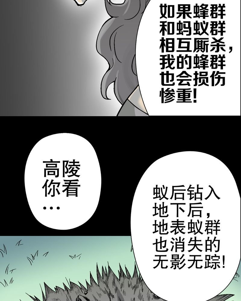 第56章：给力的点点