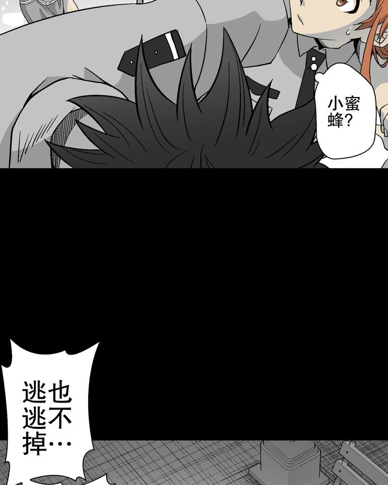 第56章：给力的点点