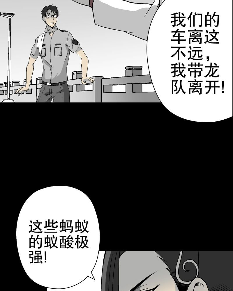 第56章：给力的点点