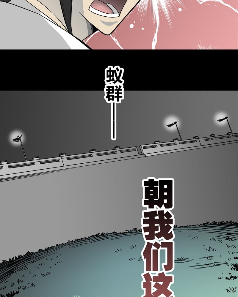 第57章：冒险的选择