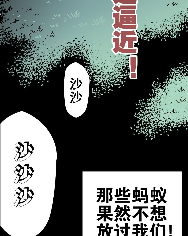第57章：冒险的选择