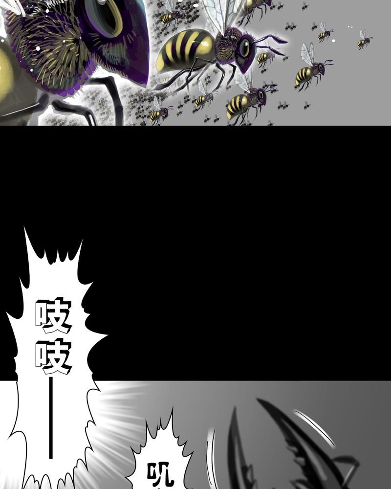 第57章：冒险的选择