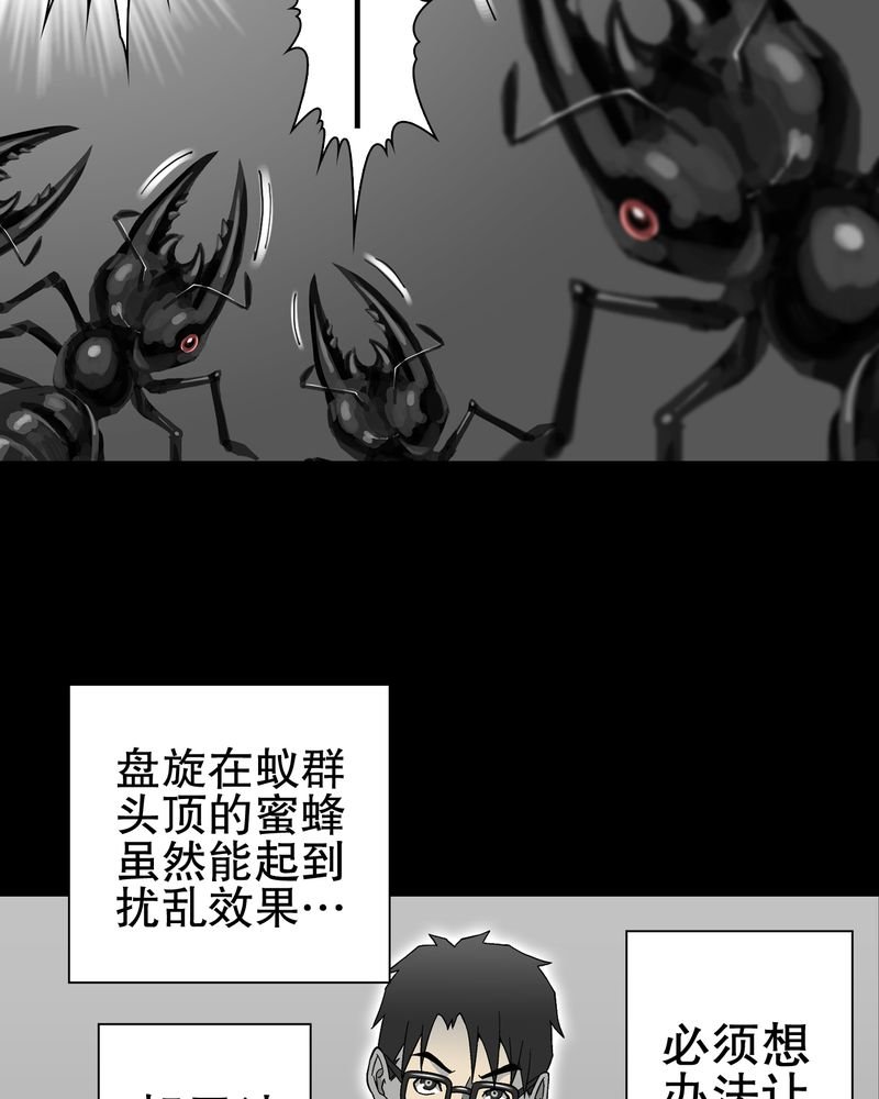第57章：冒险的选择