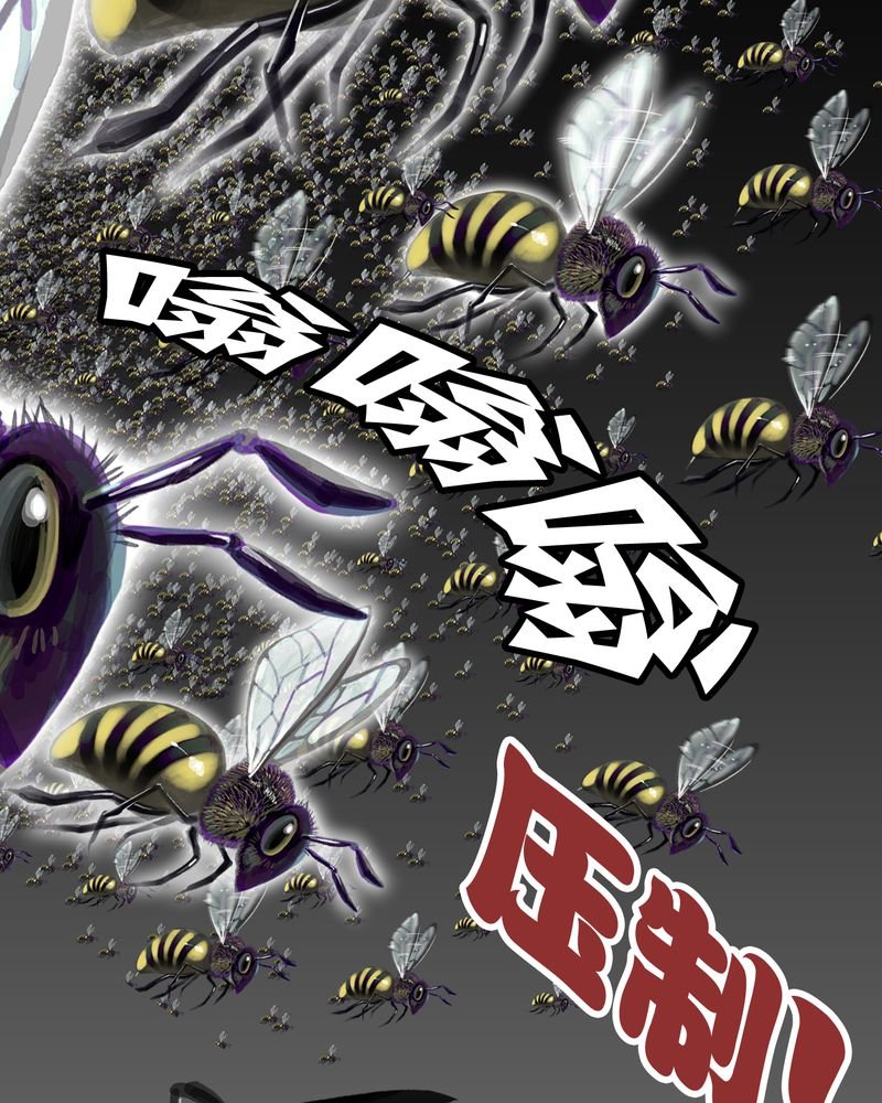 第58章：高陵的火球术