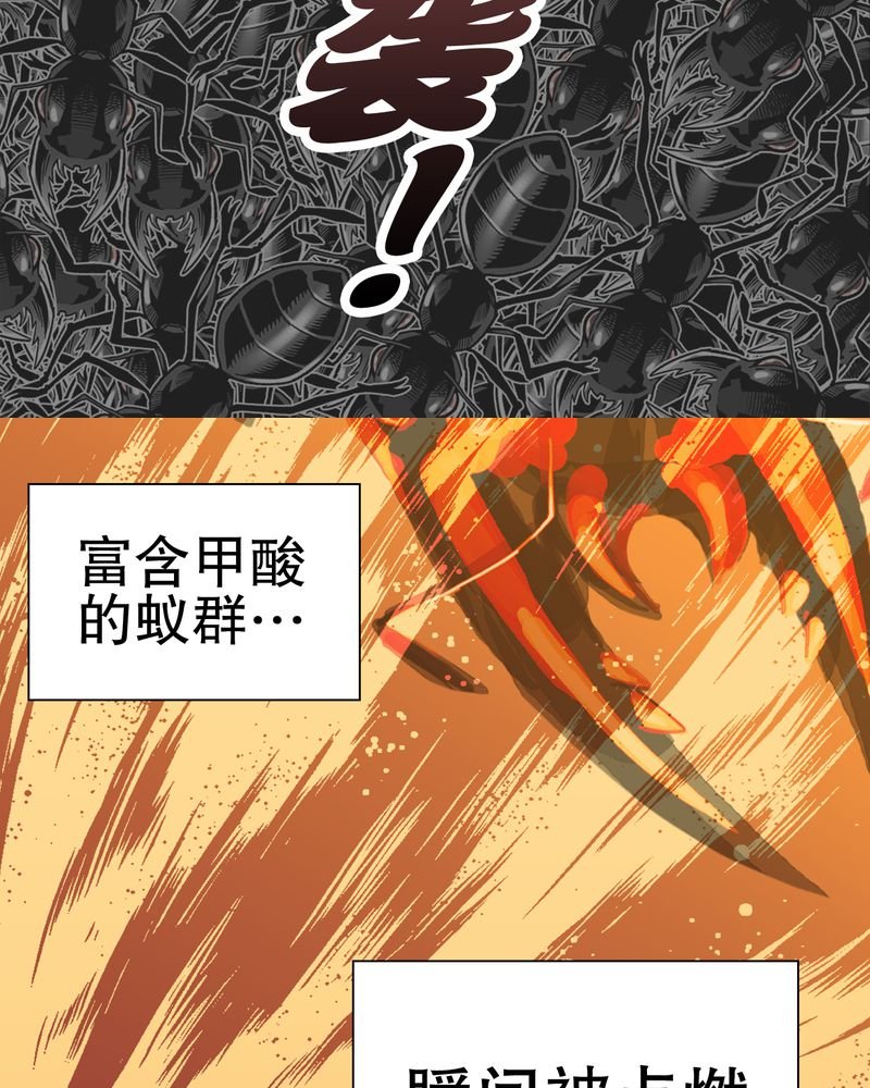 第58章：高陵的火球术