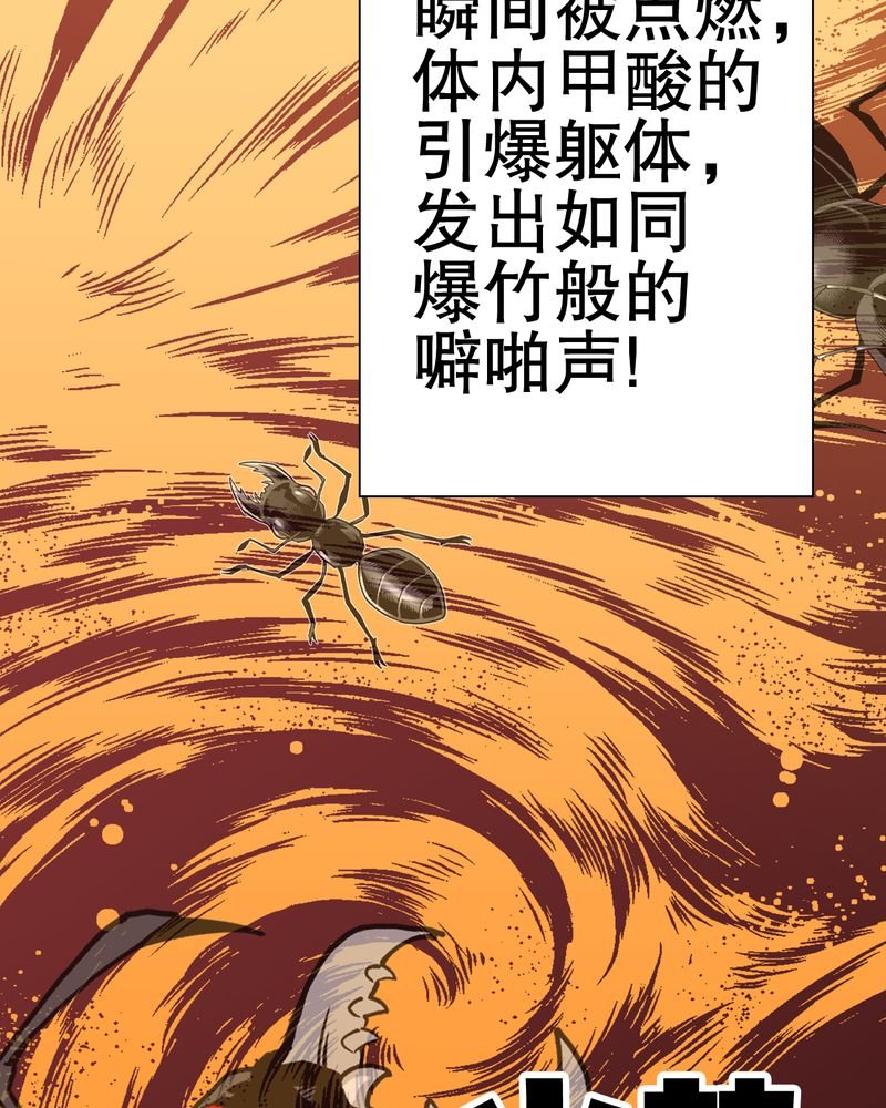 第58章：高陵的火球术