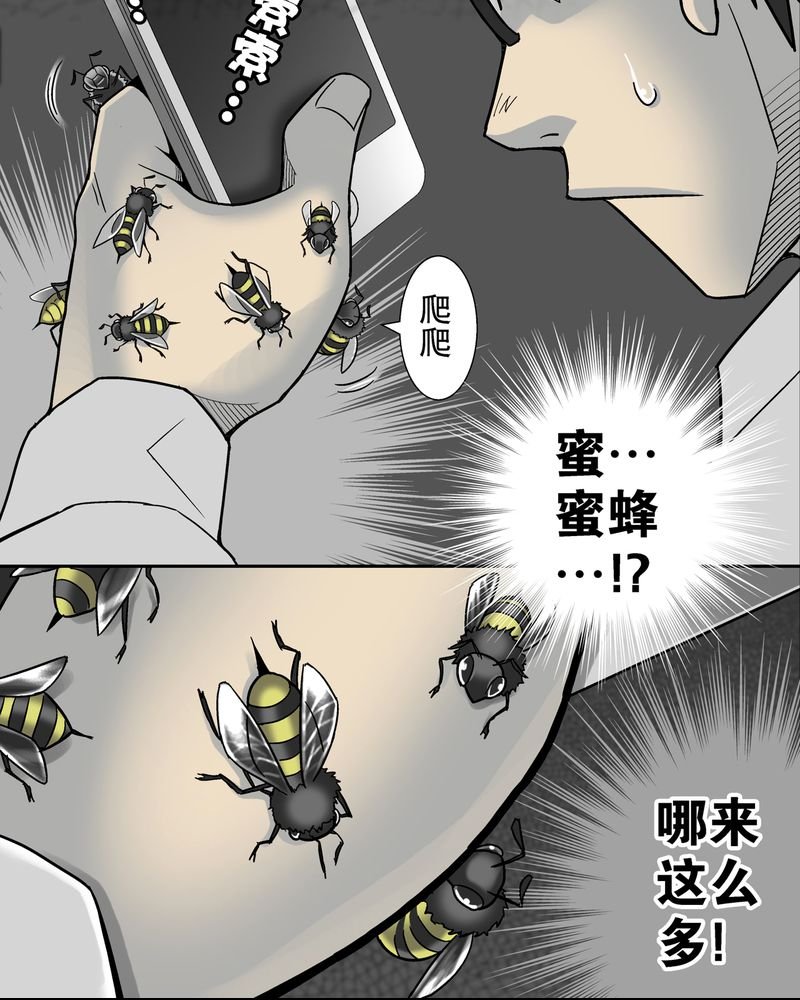 第6章：蜂女完结篇