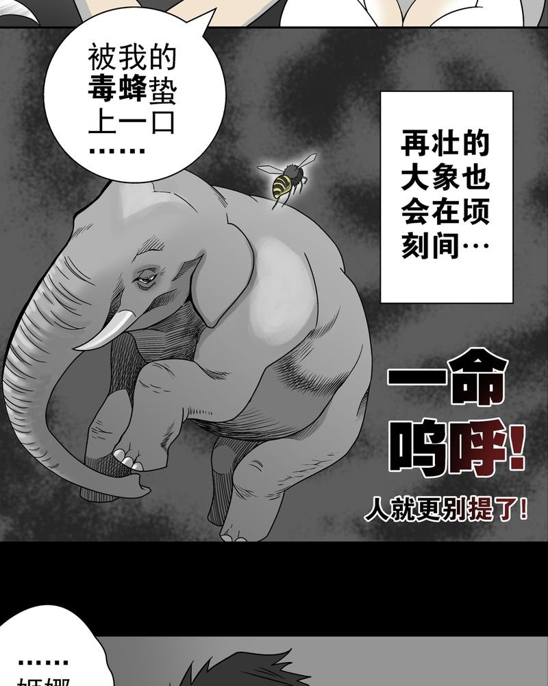 第6章：蜂女完结篇