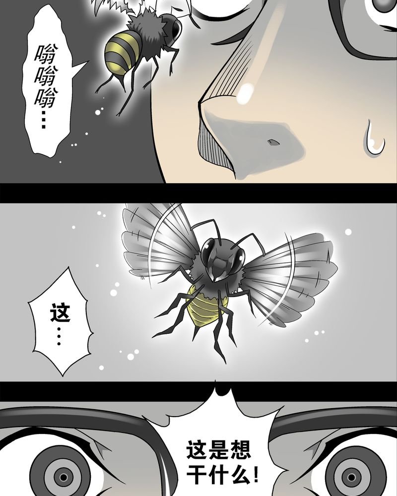 第6章：蜂女完结篇