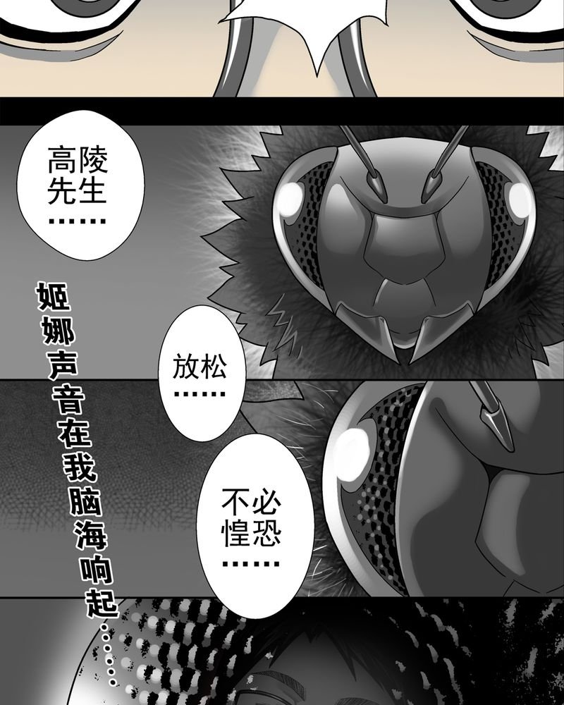 第6章：蜂女完结篇