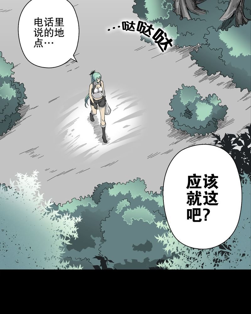 第65章：似幻非幻