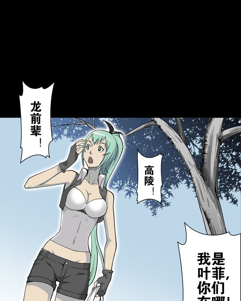 第65章：似幻非幻