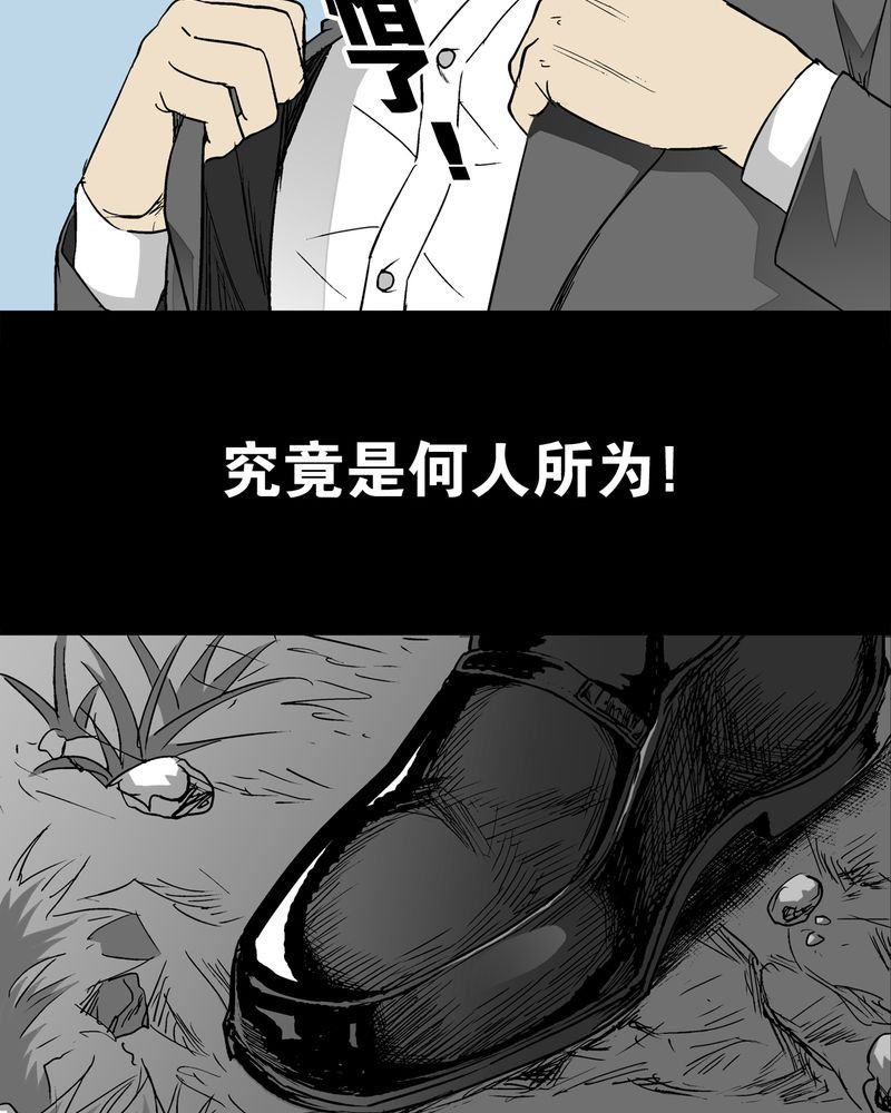 第65章：似幻非幻